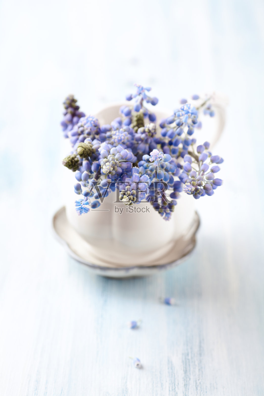 紫色的花在明亮的木制背景上。关闭了。副本的空间。照片摄影图片