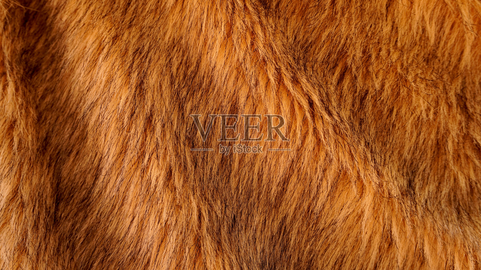 不同类型的背景图像照片摄影图片