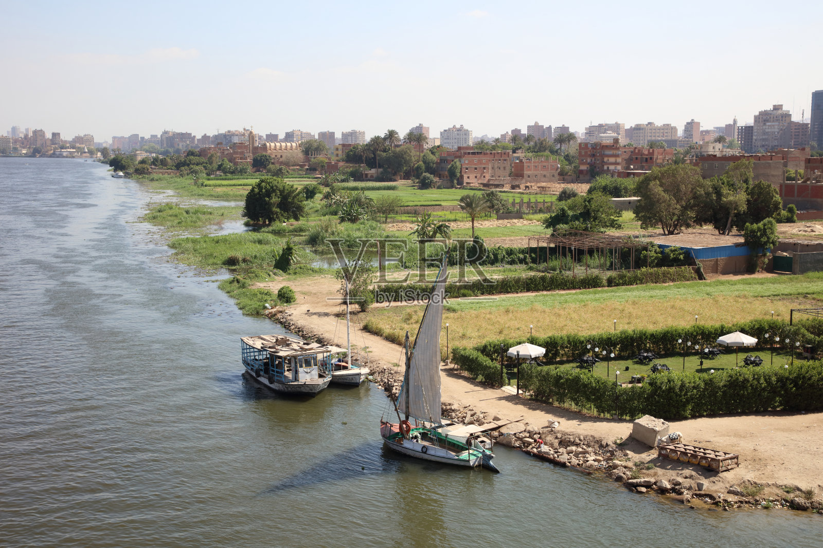 尼罗河沿岸的土地、植物和房屋照片摄影图片