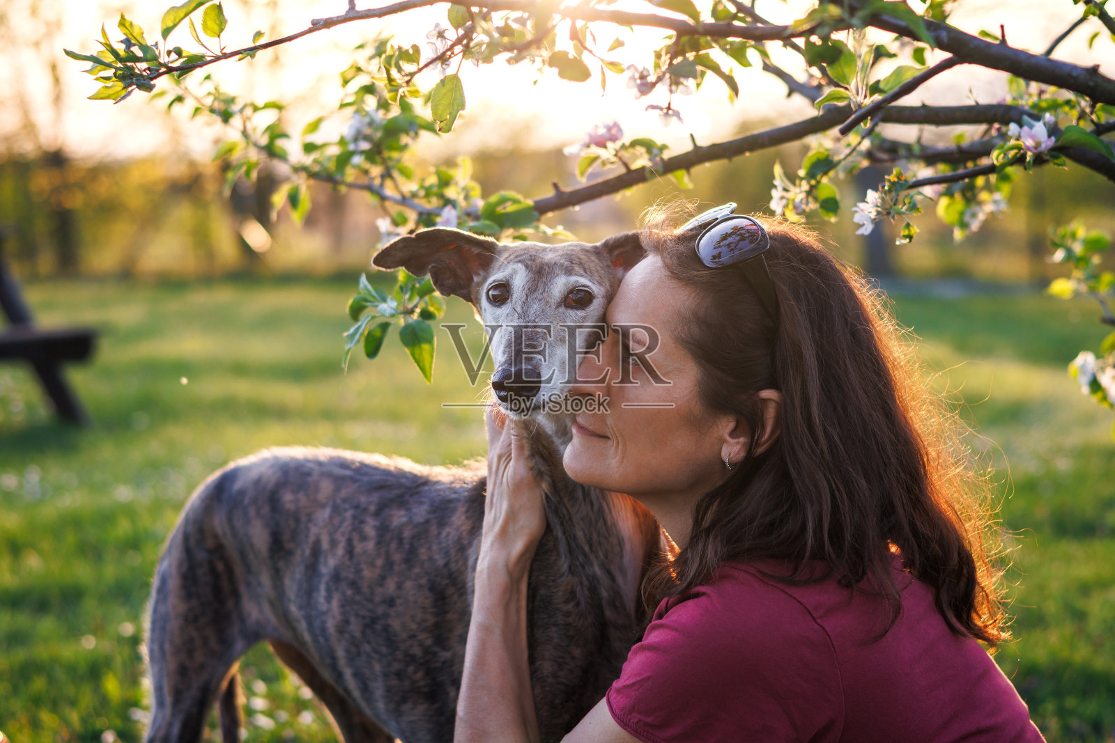 女人满怀爱意地拥抱着她的老狗照片摄影图片