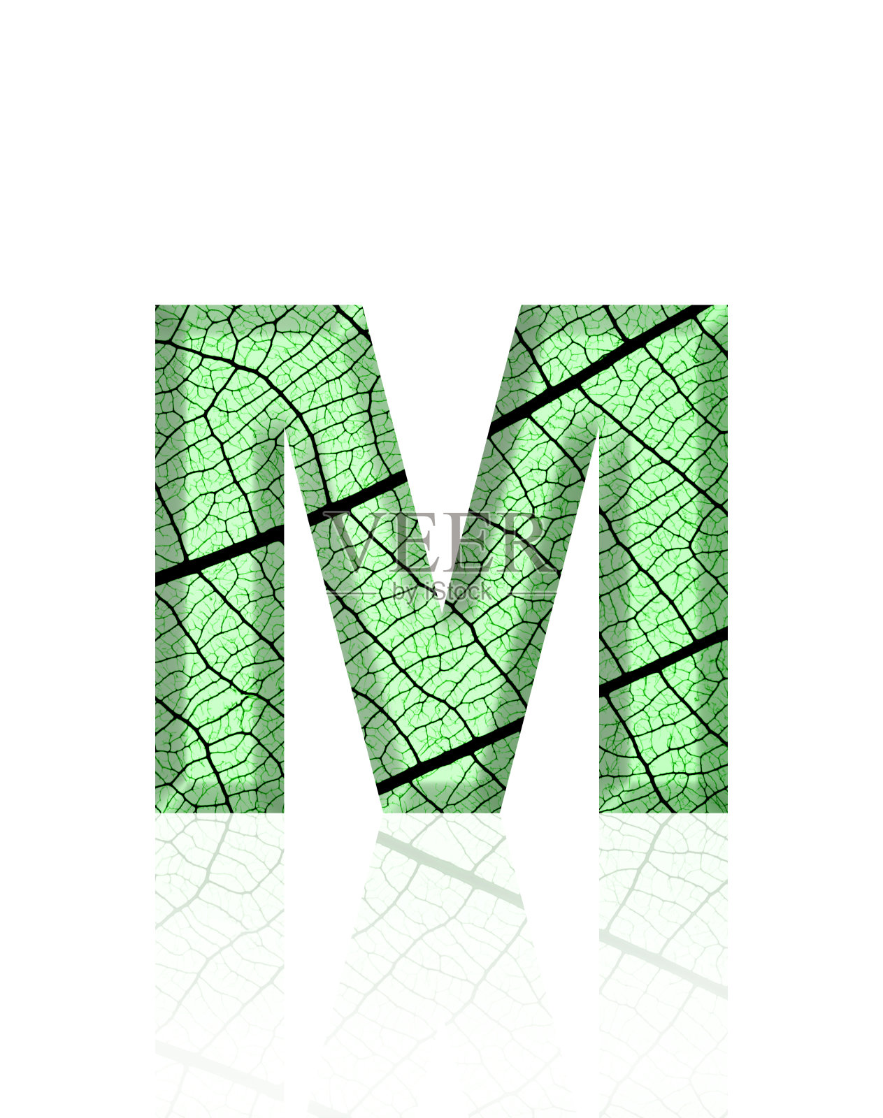 白色背景上三维叶脉字母M的孤立镜头照片摄影图片