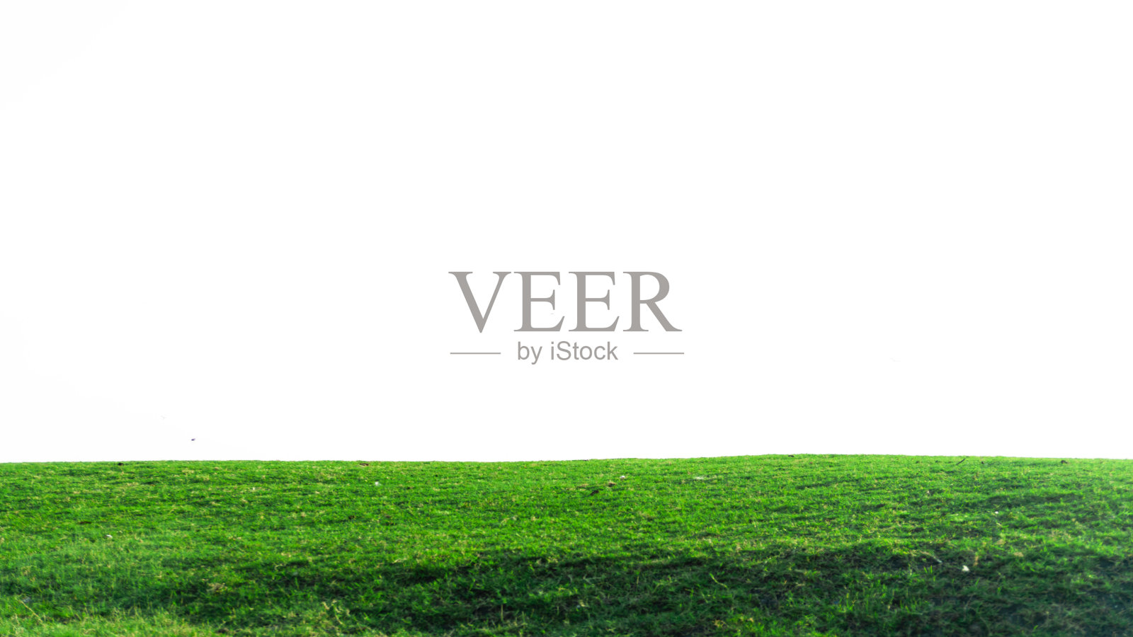 白色背景上孤立的绿草地,白色背景上孤立的新鲜绿草地照片摄影图片