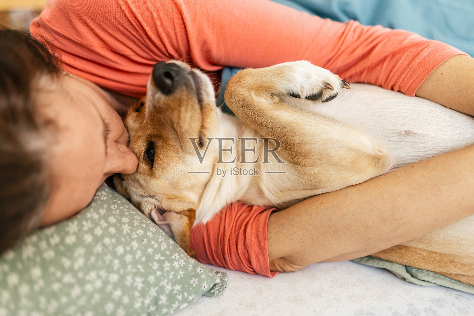 中年妇女喜爱她的狗照片摄影图片