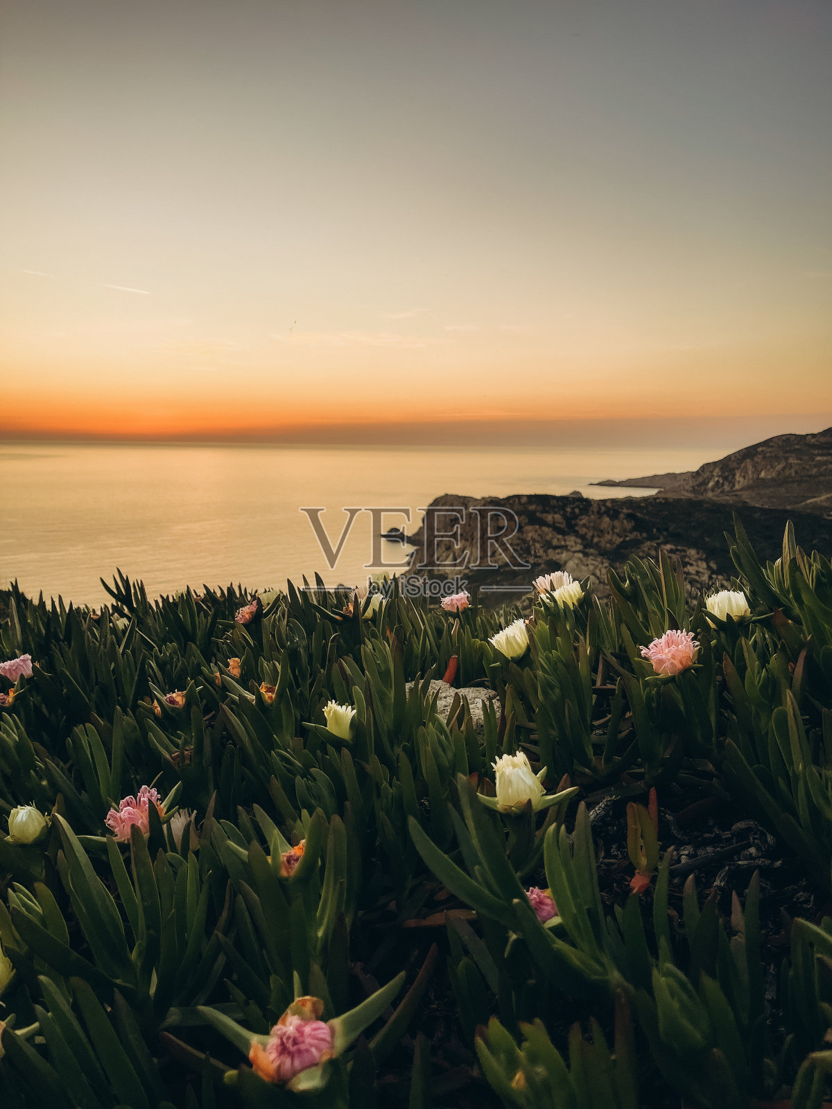 日落。科西嘉岛。法国照片摄影图片