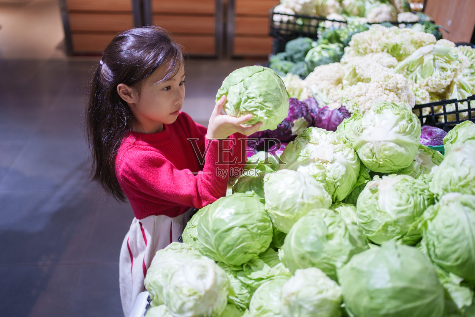 摘卷心菜的小女孩照片摄影图片