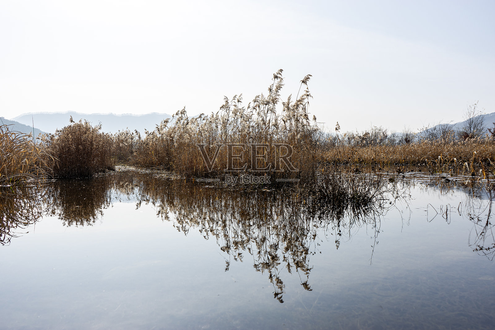 秋天的风景照片摄影图片