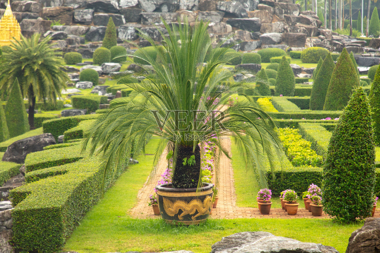 泰国热带公园Nong Nooch的景观照片摄影图片