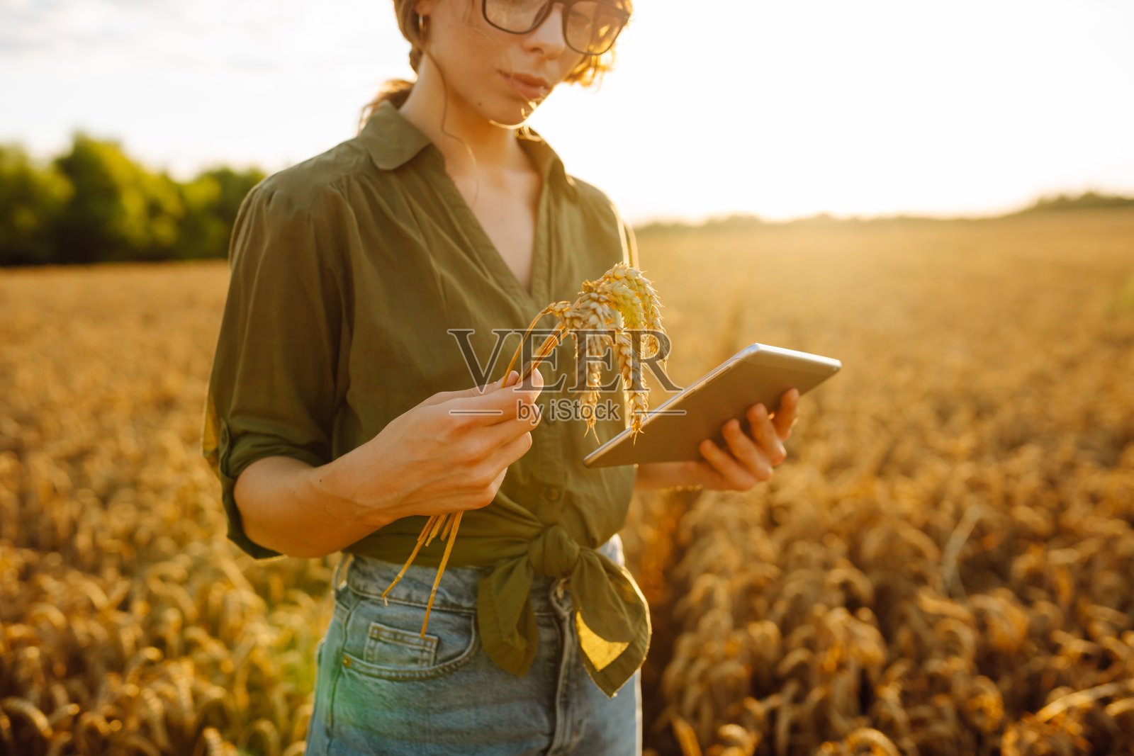 一个年轻农民手中的数码平板电脑。照片摄影图片