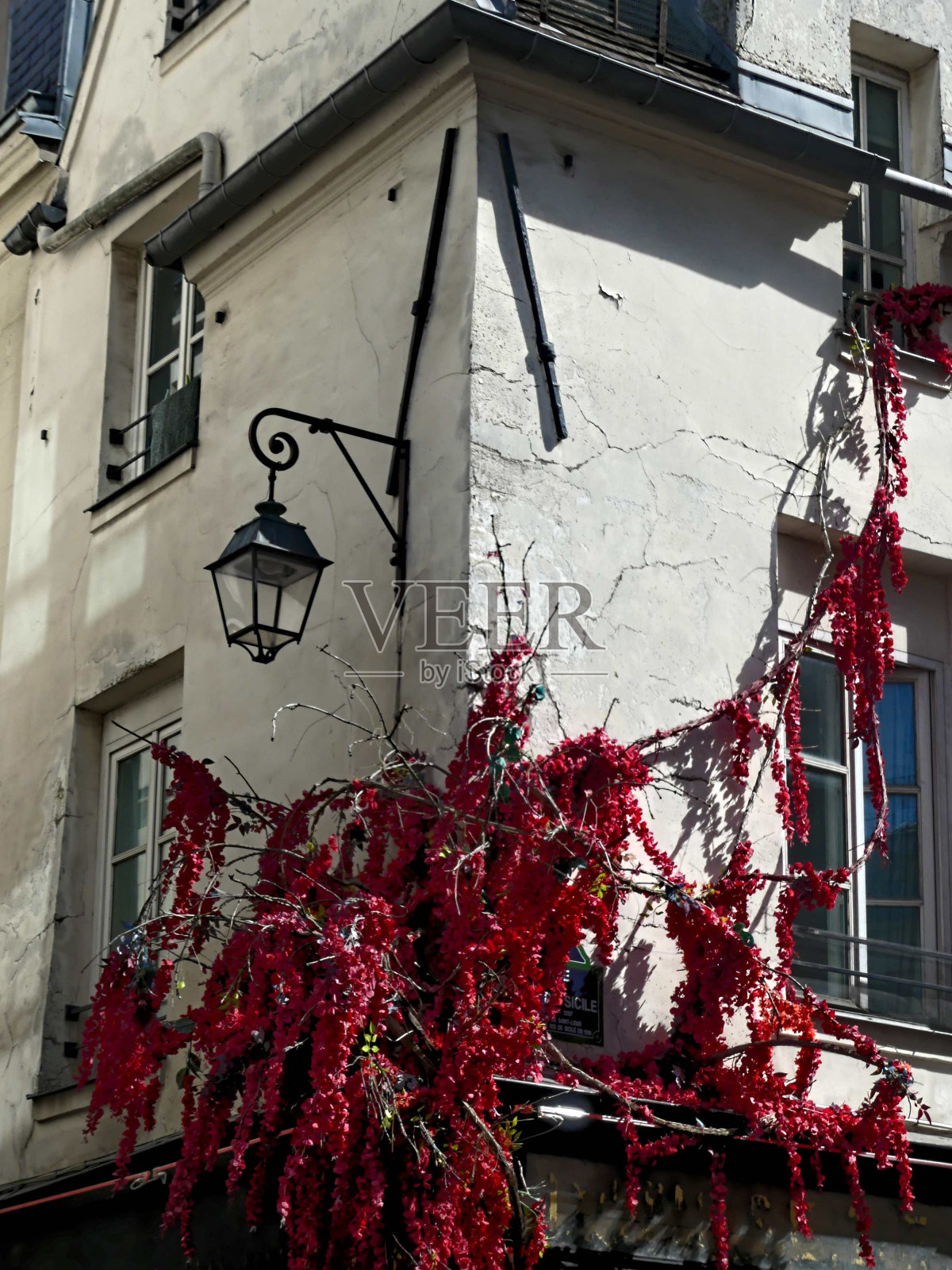 豪斯曼男爵建造的建筑物的不同立面照片摄影图片