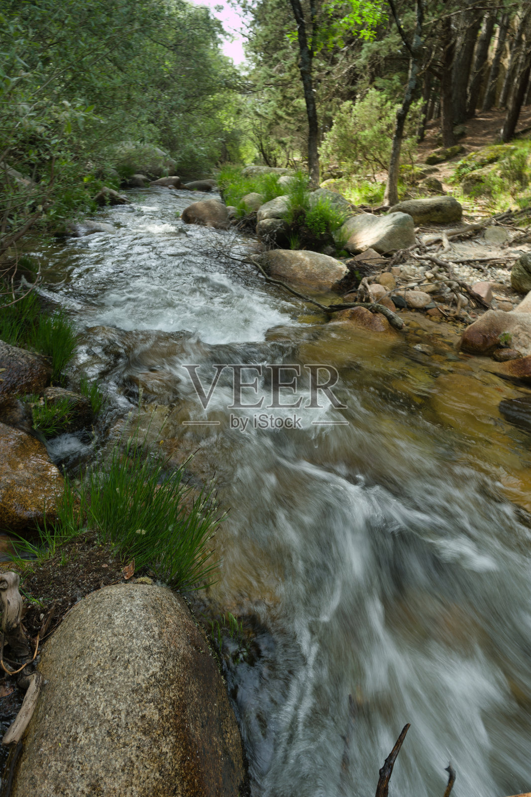 景观、景观、自然、植物、水、溪、山、植物、山、流、泉、照片摄影图片