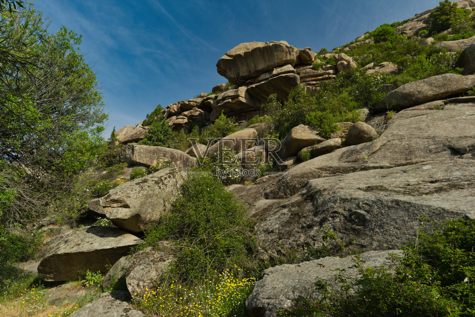 景观,景色,自然,植物,西班牙,岩石,山,植物,山,阳光,春天,照片摄影图片