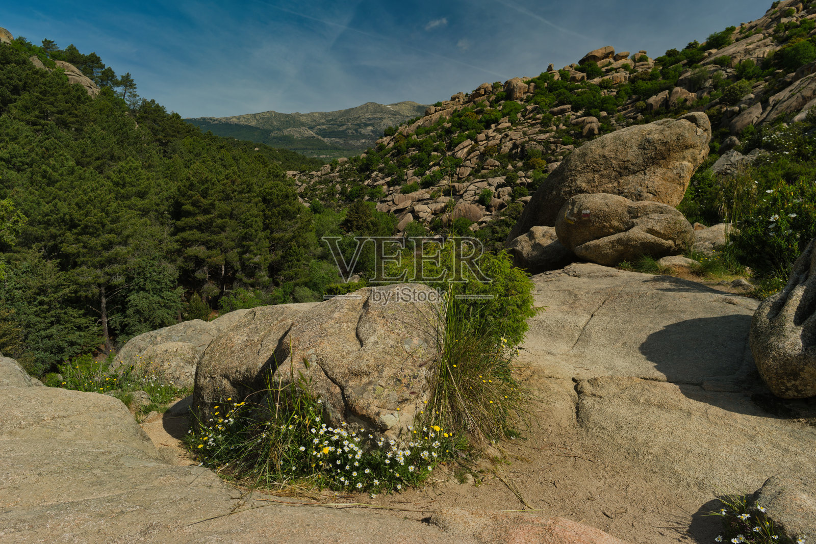 景观,景色,自然,植物,西班牙,岩石,山,植物,山,阳光,春天,照片摄影图片