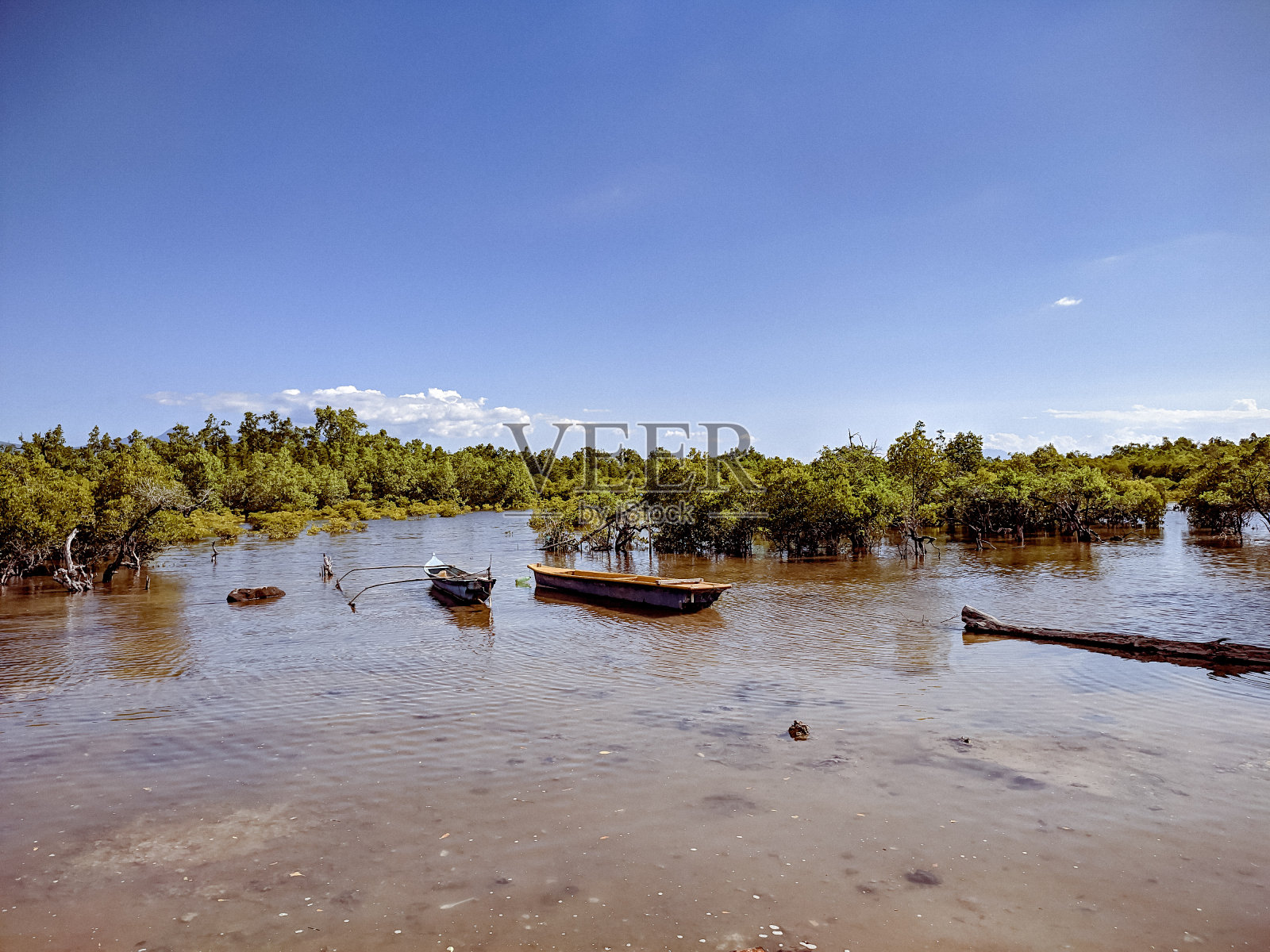 宁静的海滨景色和绿色的红树林照片摄影图片