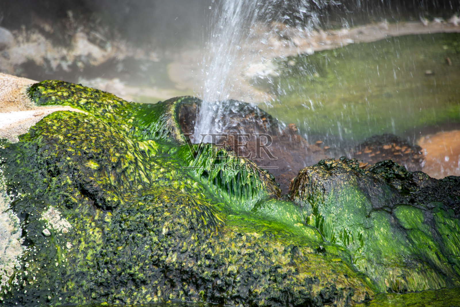 外芒古火山谷的鸟巢泉照片摄影图片