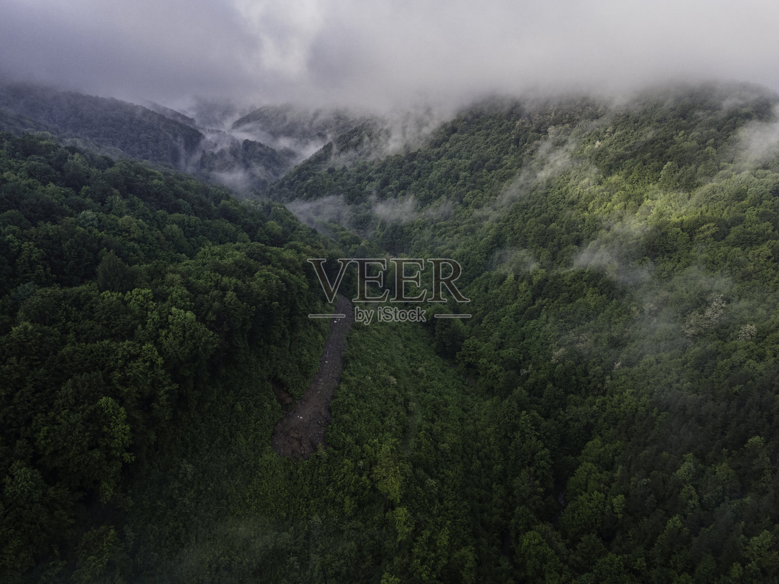 雾中绿色森林的空中山路之旅。照片摄影图片