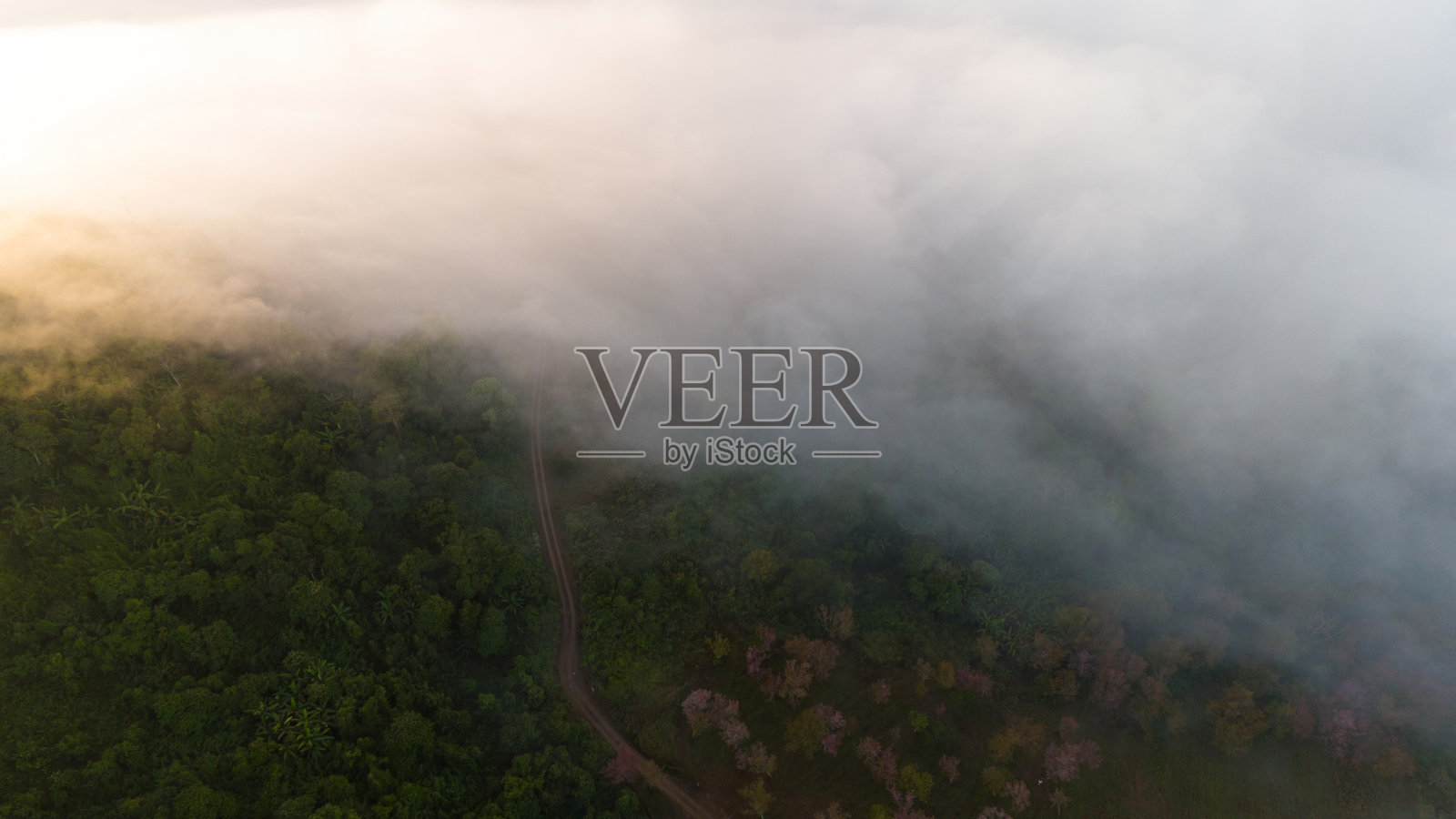 空中无人机拍摄山谷中的薄雾与日落,以及沿海城镇、树木和建筑物的清晨景色照片摄影图片