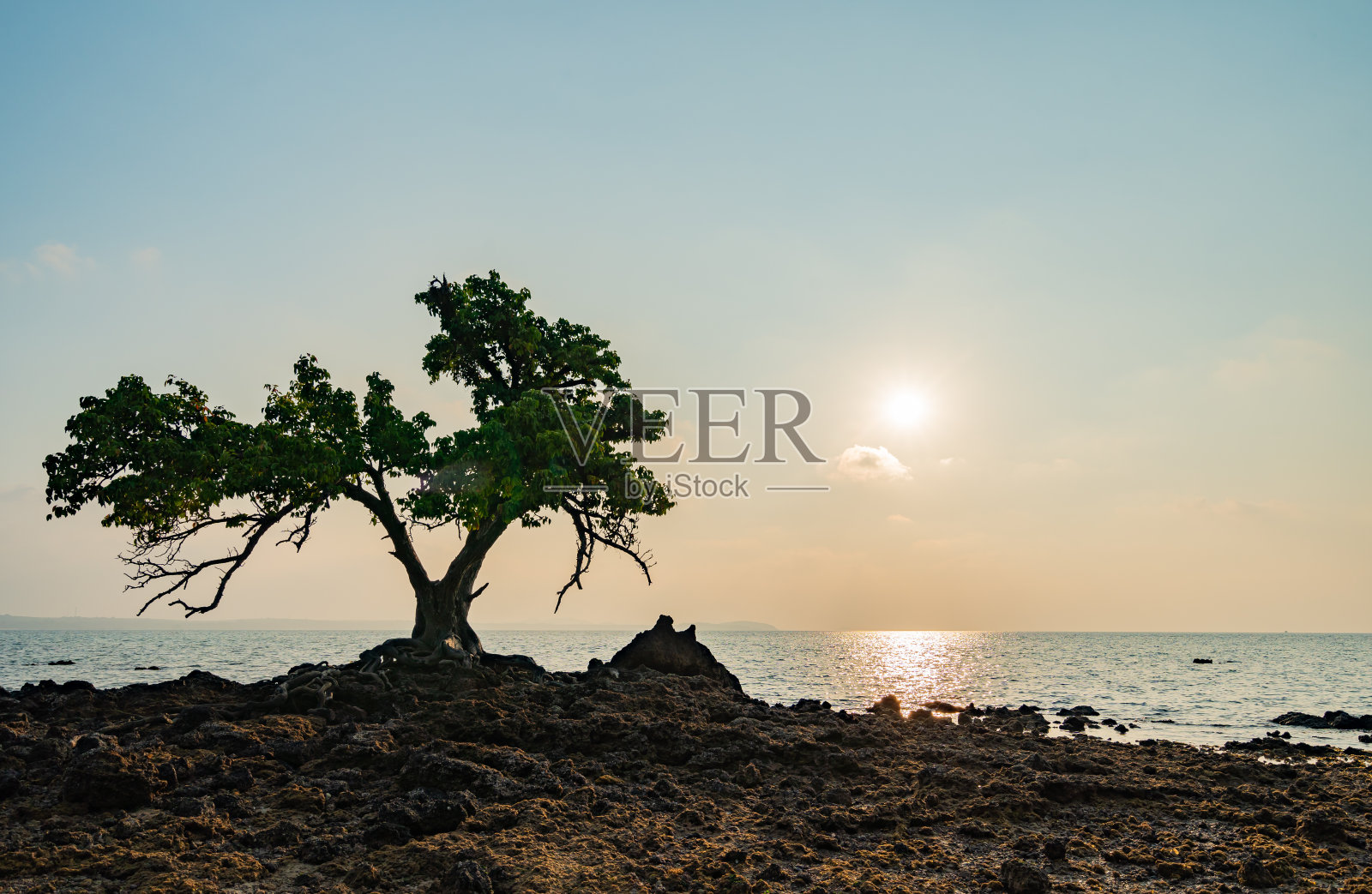日落与树木在美丽的大海在纸岛,泰国叻省。照片摄影图片
