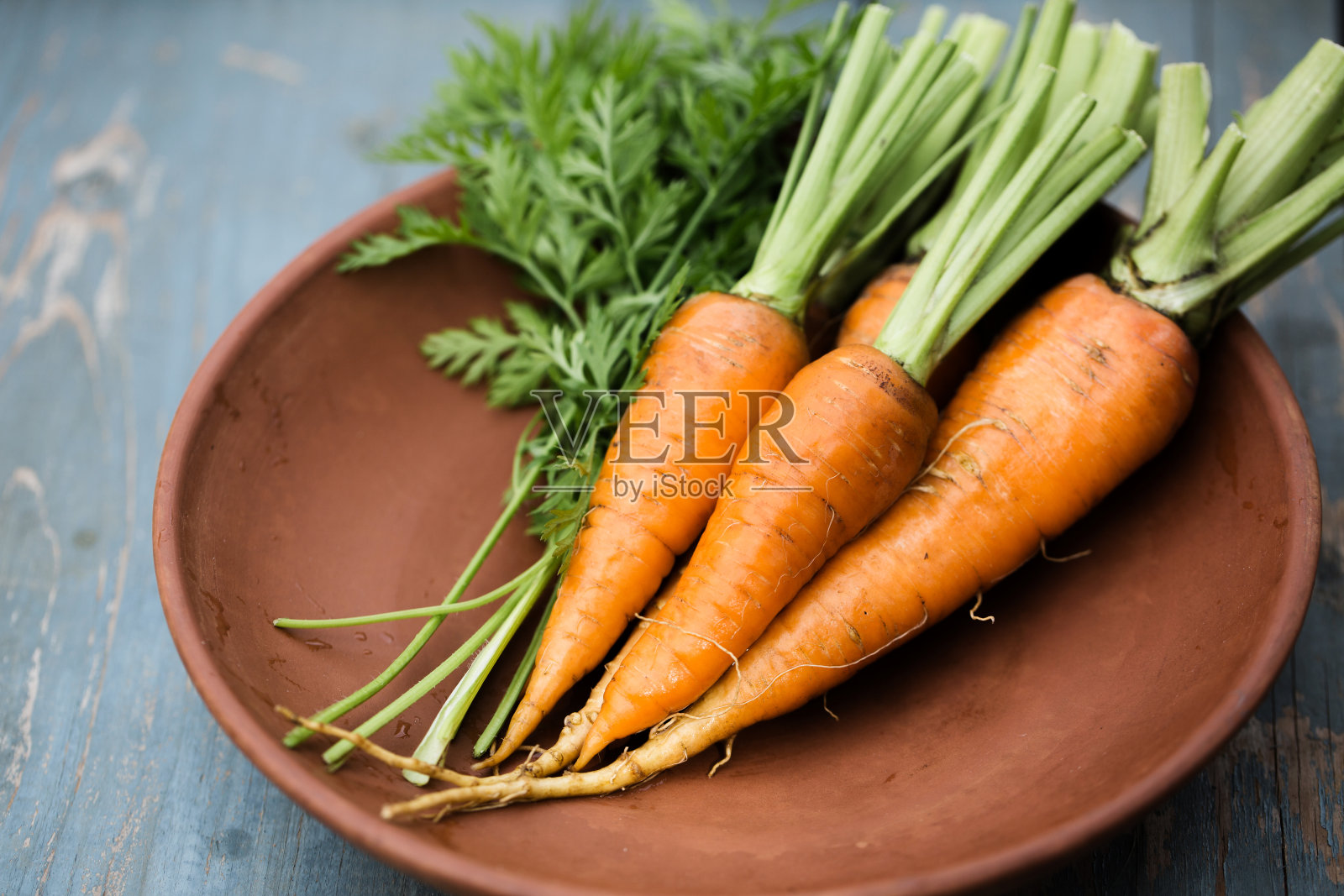 嫩嫩的、多汁的、绿叶的胡萝卜照片摄影图片