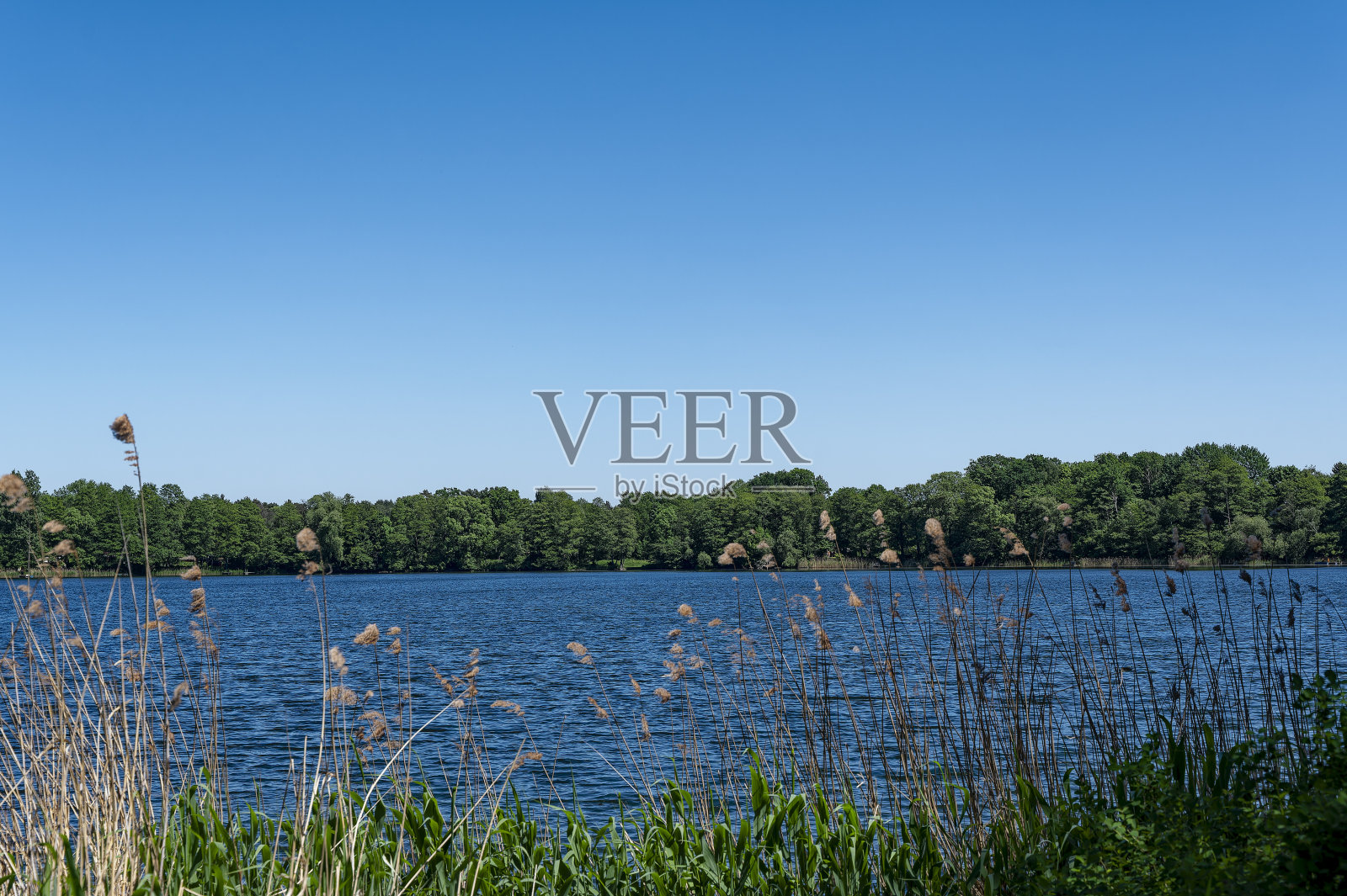 从岸边看湖的宁静景色。照片摄影图片