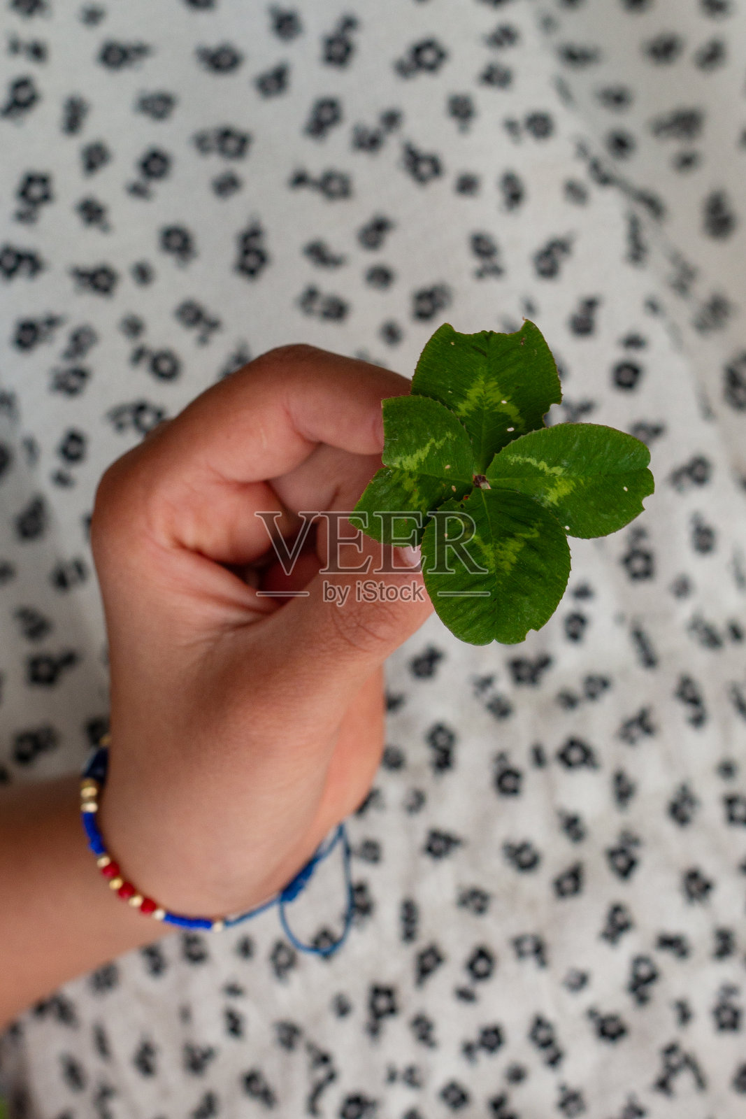 我们在绿色中找到了幸福照片摄影图片