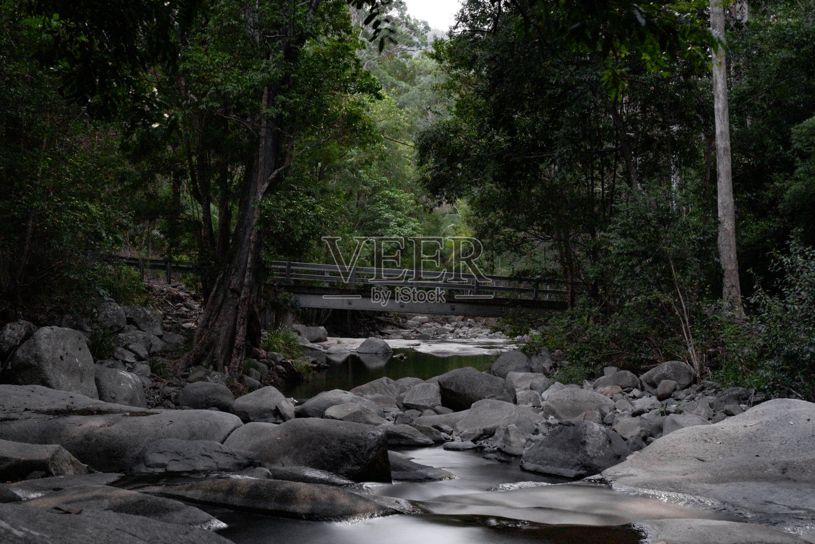 小溪在森林里的桥下流淌照片摄影图片