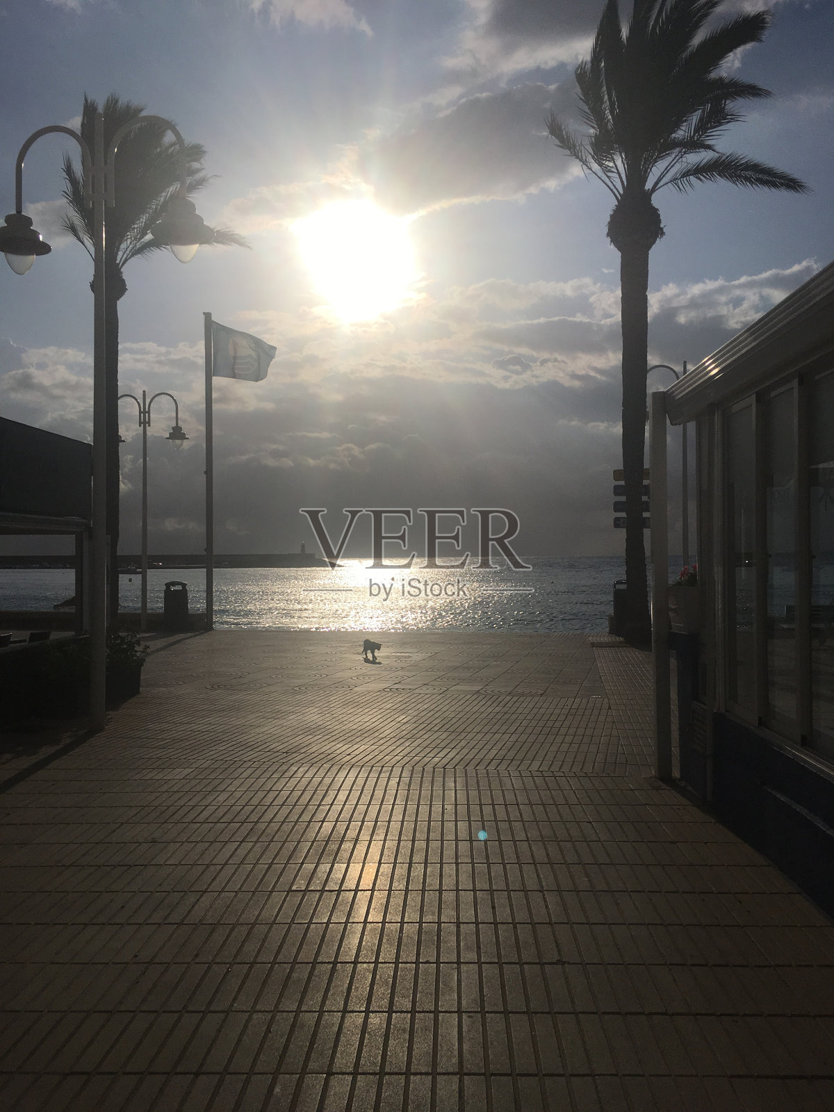 生活照片摄影图片