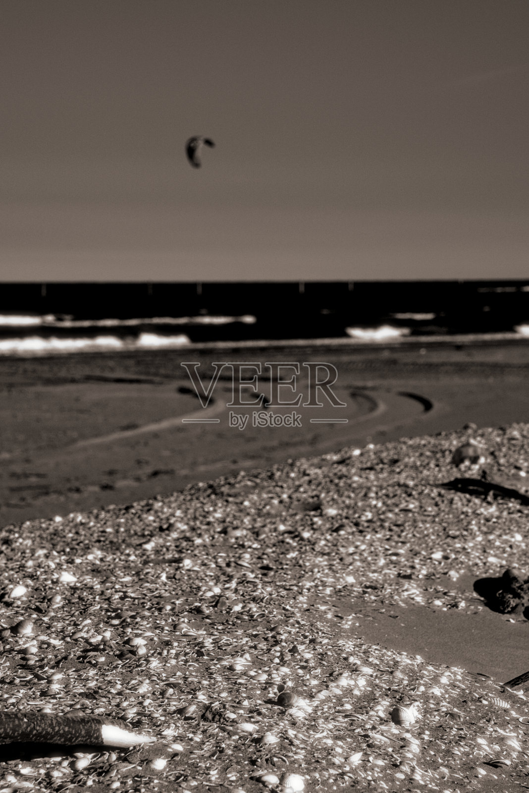 Marina di Ravenna海滩景观(意大利)照片摄影图片