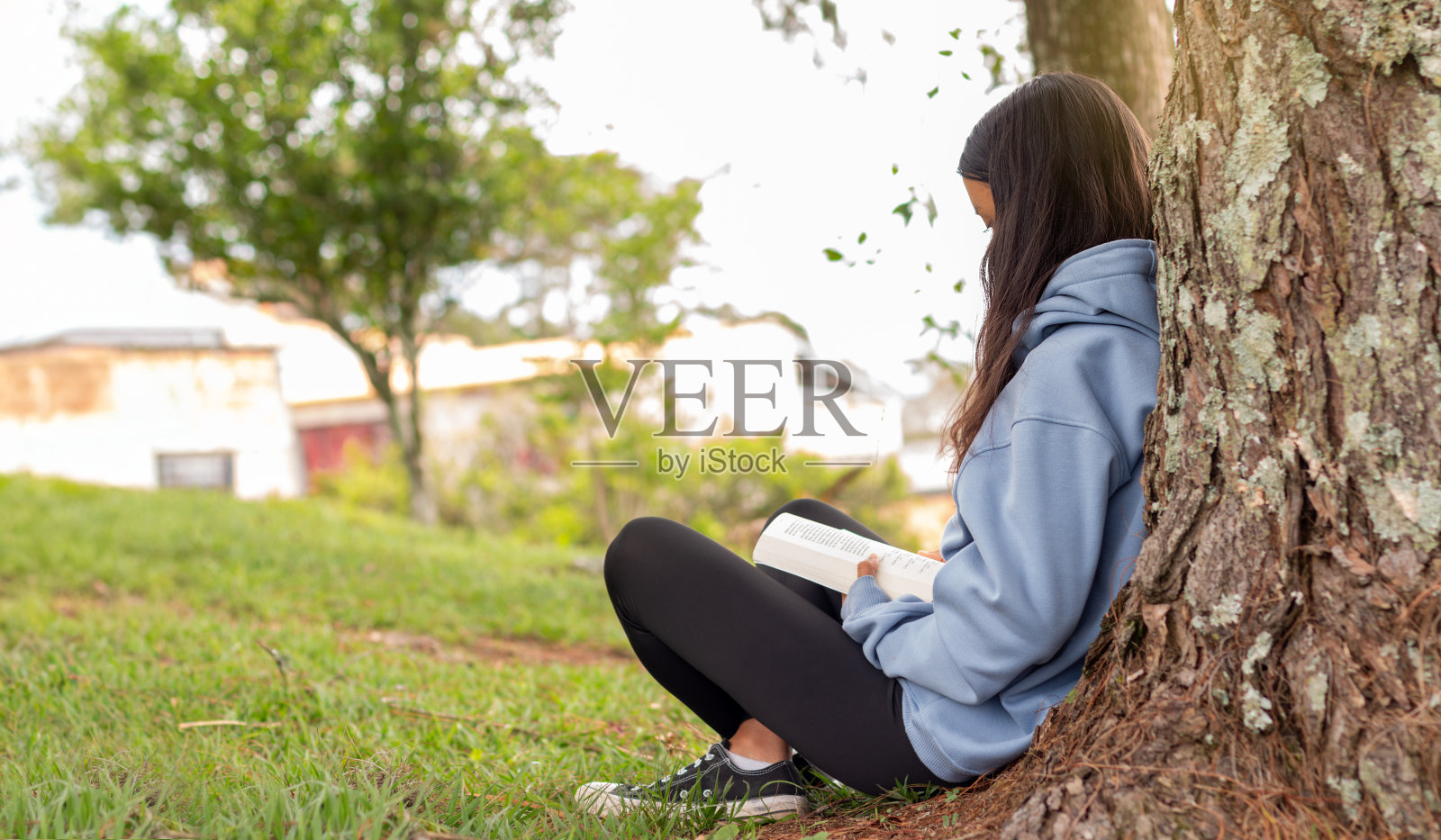 生活方式:年轻的拉丁人在大自然中读书照片摄影图片