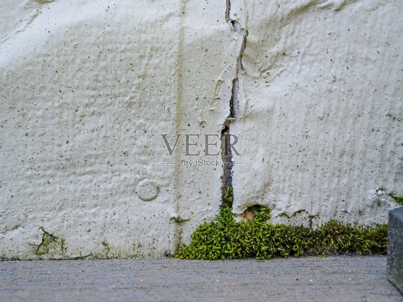 T1-11壁板受潮损坏安装不当特写照片摄影图片