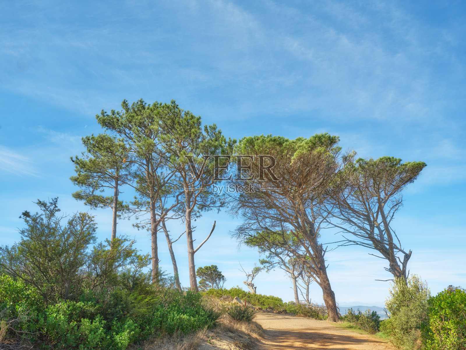 山区荒野-西开普省照片摄影图片