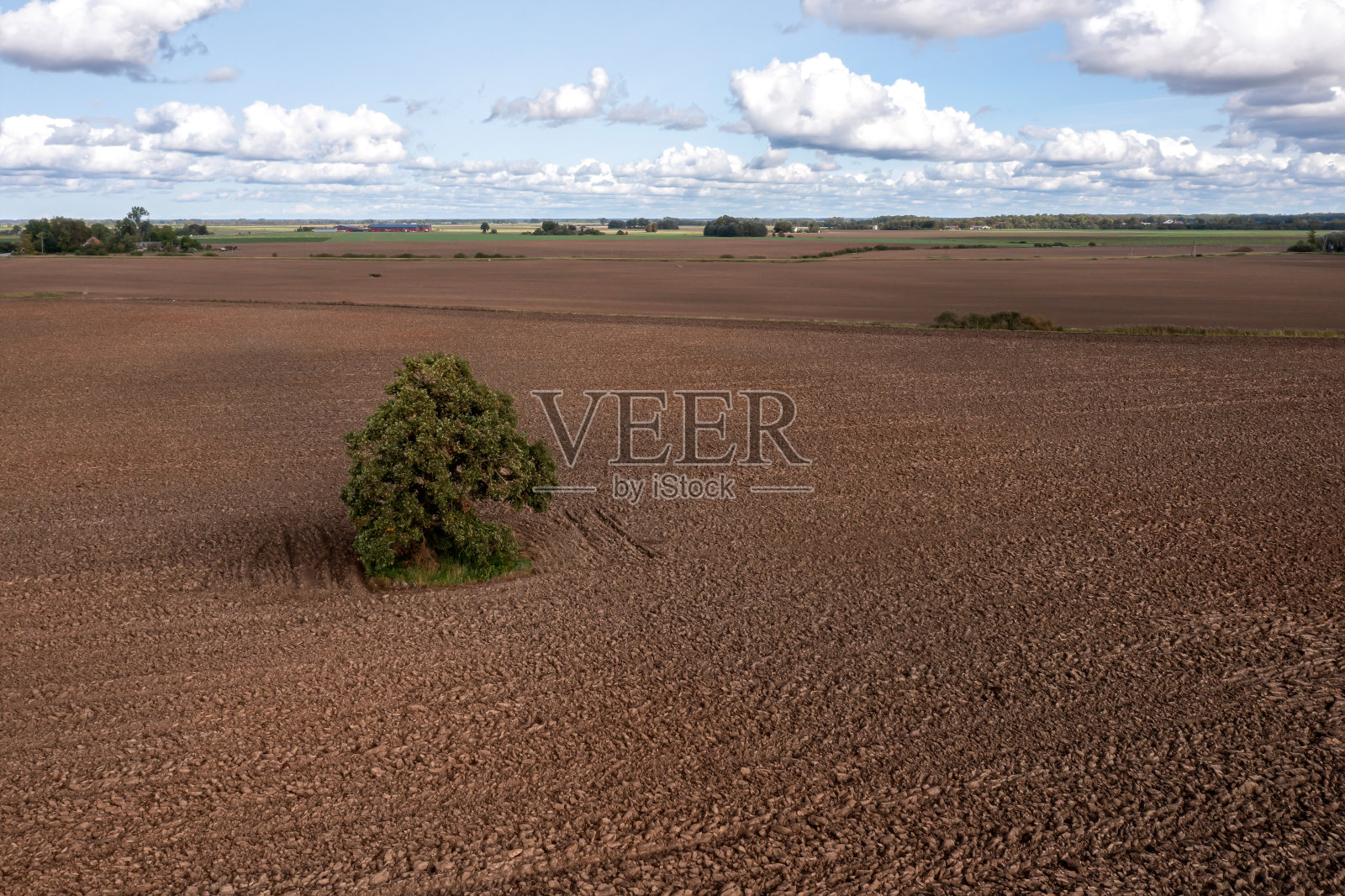 从空中俯瞰,一棵孤零零的树矗立在犁地的中央照片摄影图片