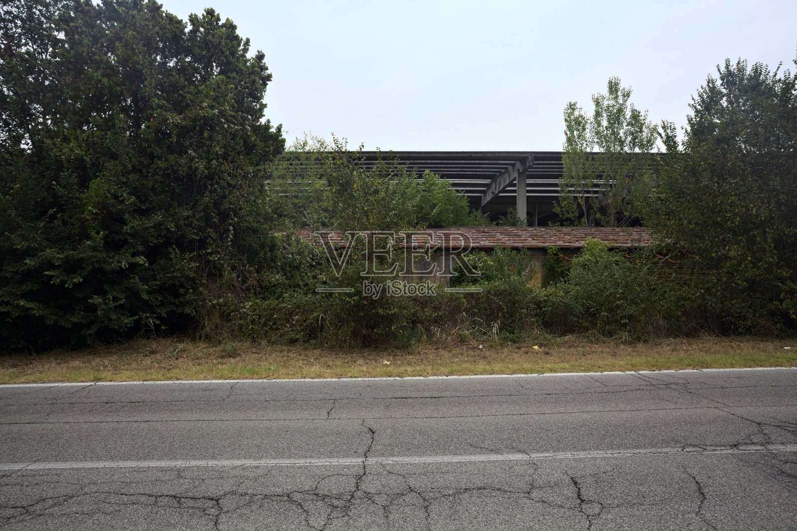 在阴天下雨前,从道路的另一边看,被树木衬托的意大利乡村废弃工厂照片摄影图片