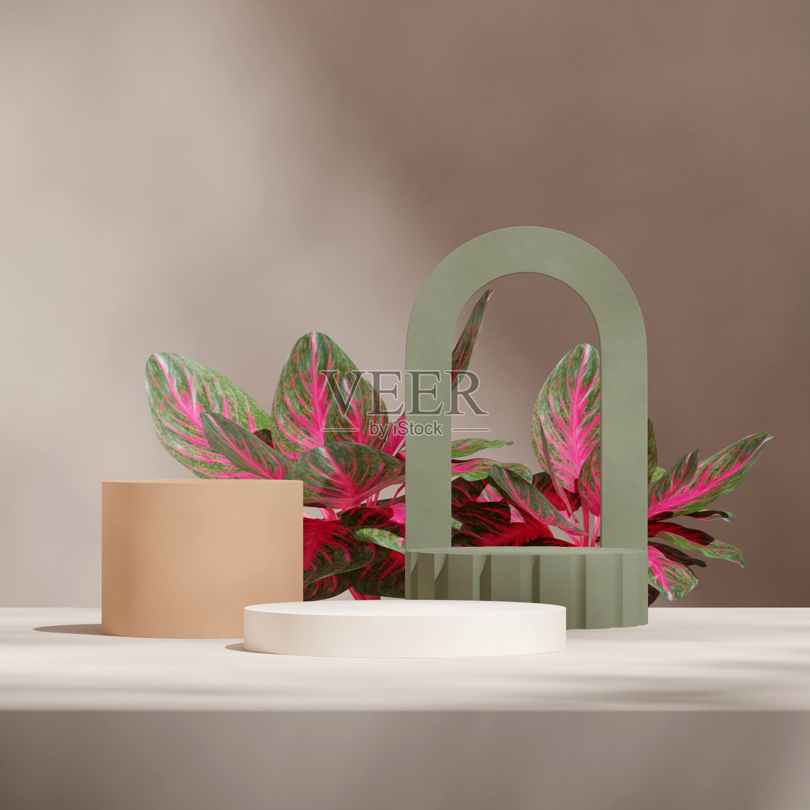 棕色和绿色柱体裙房在方形红色aglaonema室内植物,3d渲染图像空白模型照片摄影图片