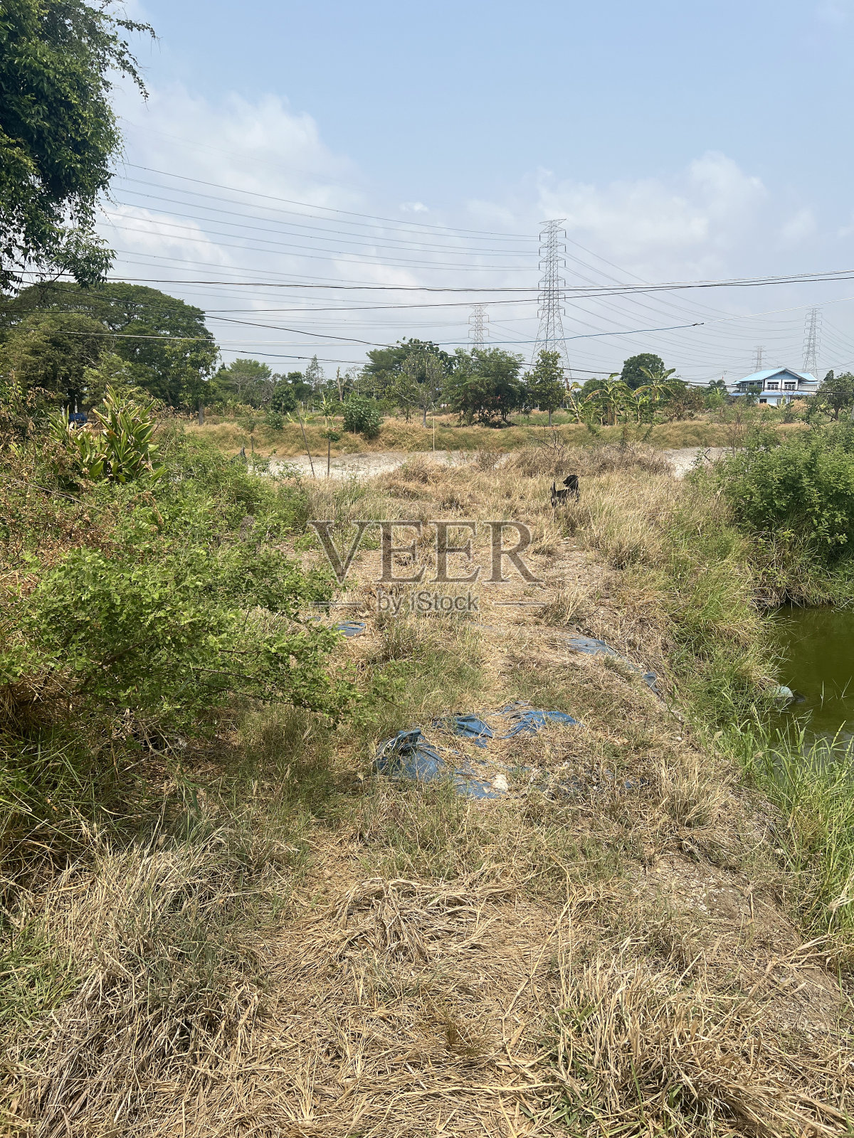 乡下的田野照片摄影图片