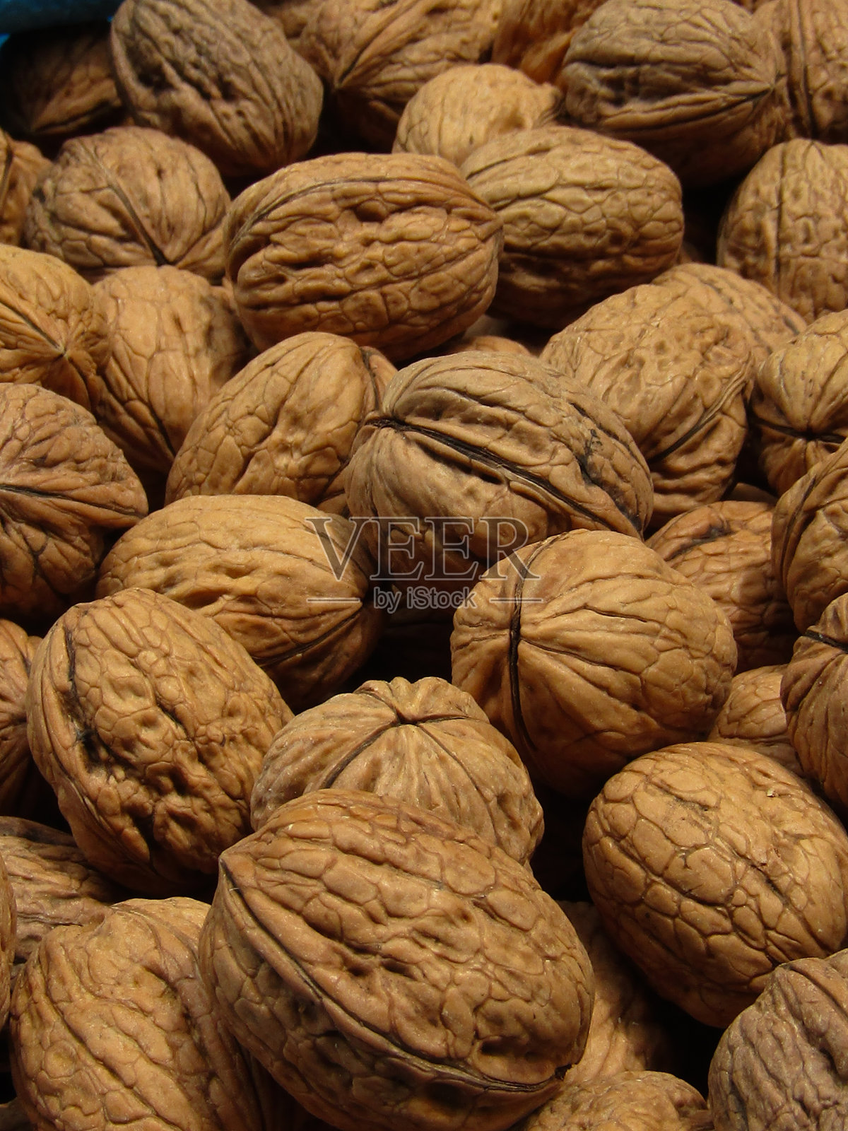 超级特写的新鲜核桃照片摄影图片