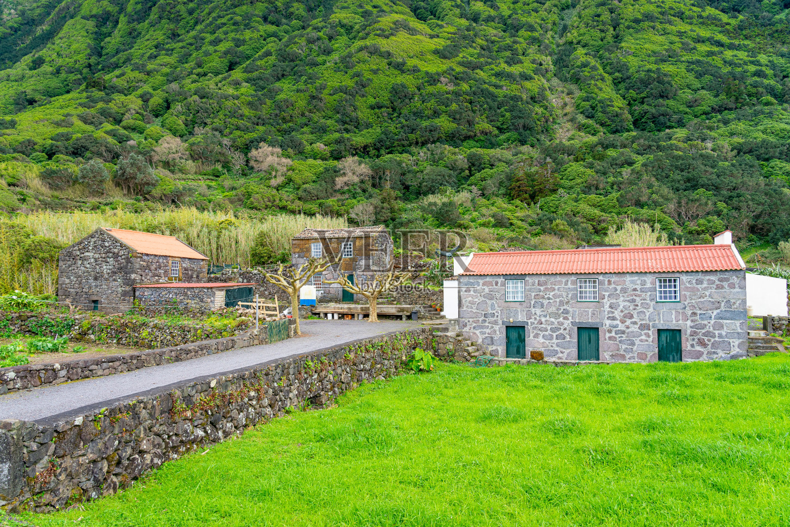 围绕着Fajã dos Cubres和Fajã de Santo Cristo的景观,还有一条土路。照片摄影图片