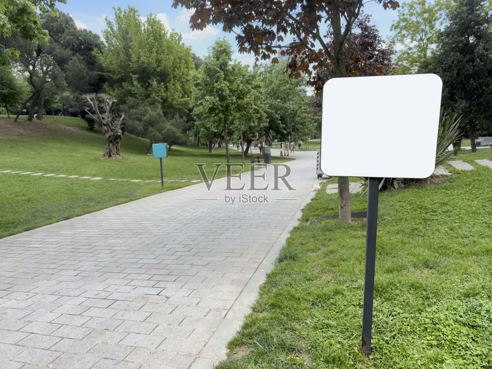 春天公园小路上的空白广告牌模型照片摄影图片