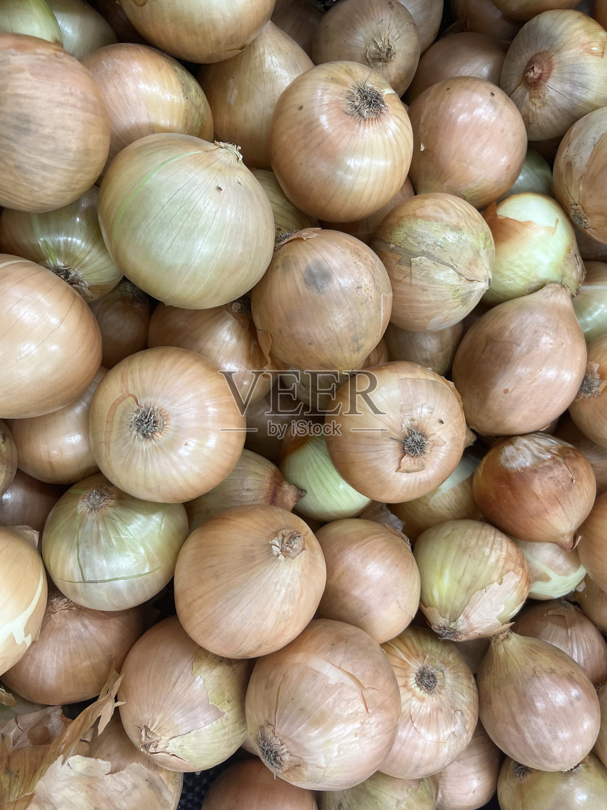 蔬菜-洋葱照片摄影图片