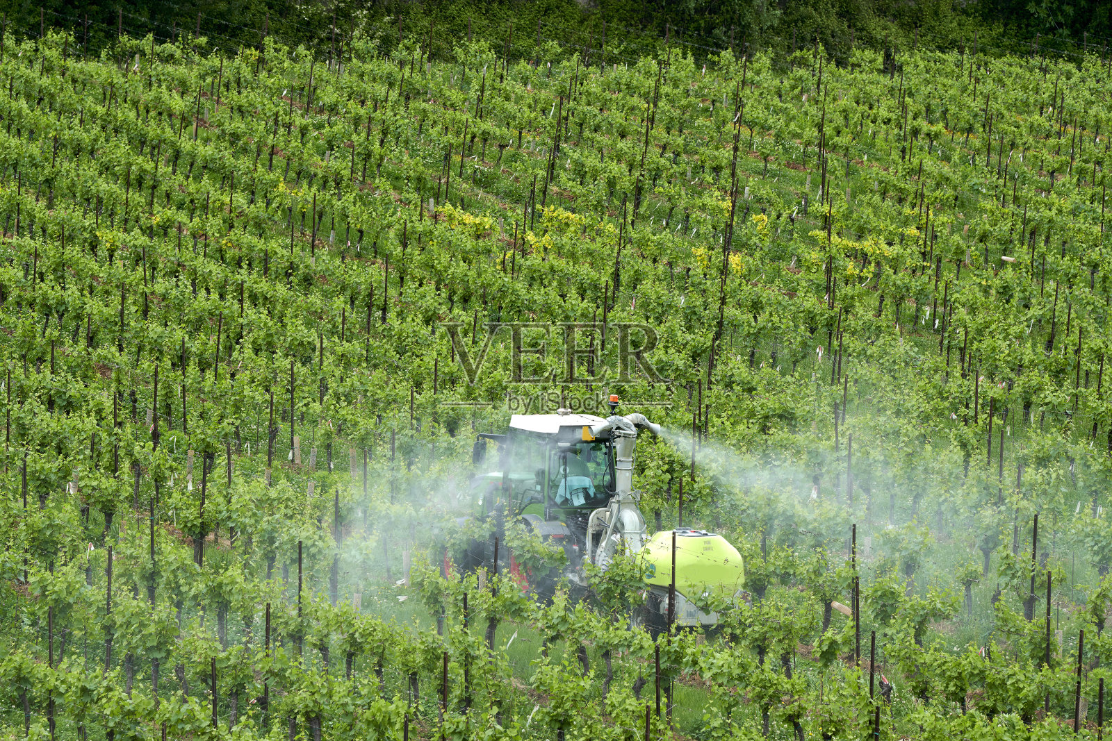 农药照片摄影图片