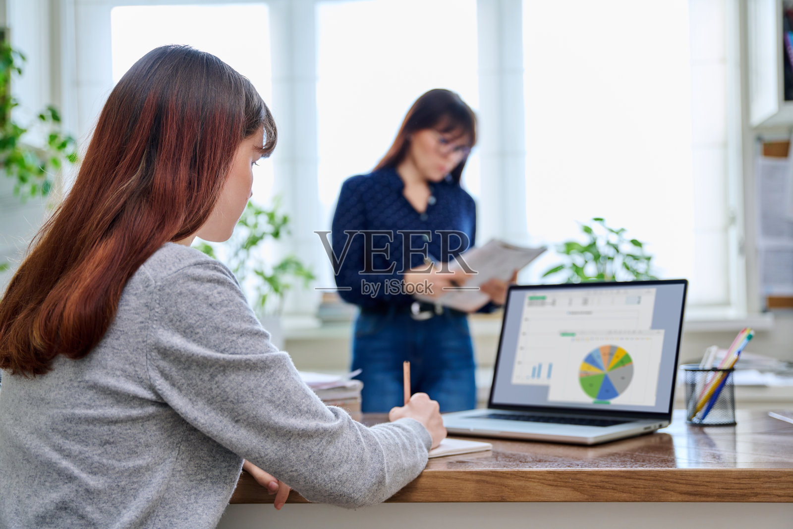 培训课程,年轻女性学习计算机,成熟的导师教导年轻的学生照片摄影图片