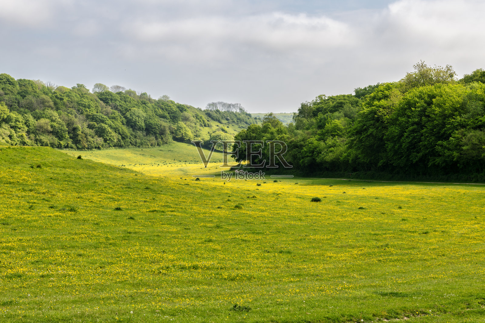英国肯特郡多佛附近利登的肯特唐斯的美丽景色照片摄影图片