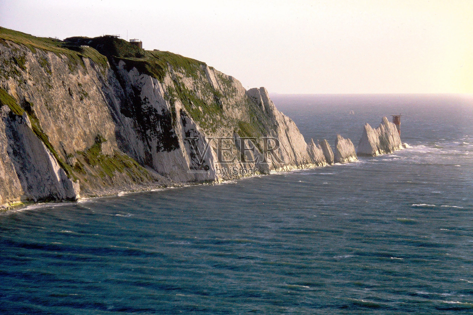 针照片摄影图片