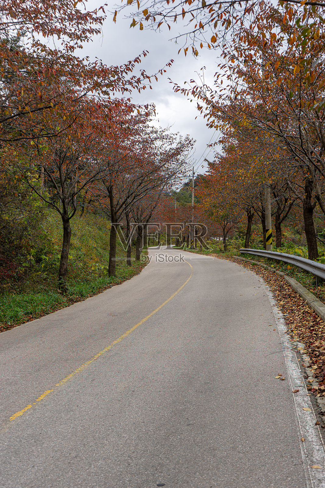 秋天的风景照片摄影图片