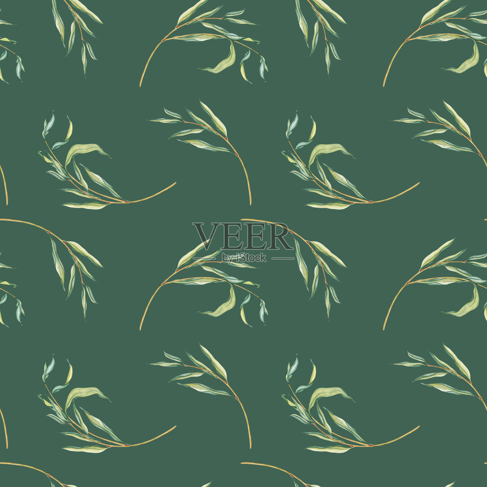 水彩无缝图案鲜叶垂柳树。自然景观中,简单的树枝带着绿叶孤立在绿色之上。手绘植物插图绿色色调插画图片素材