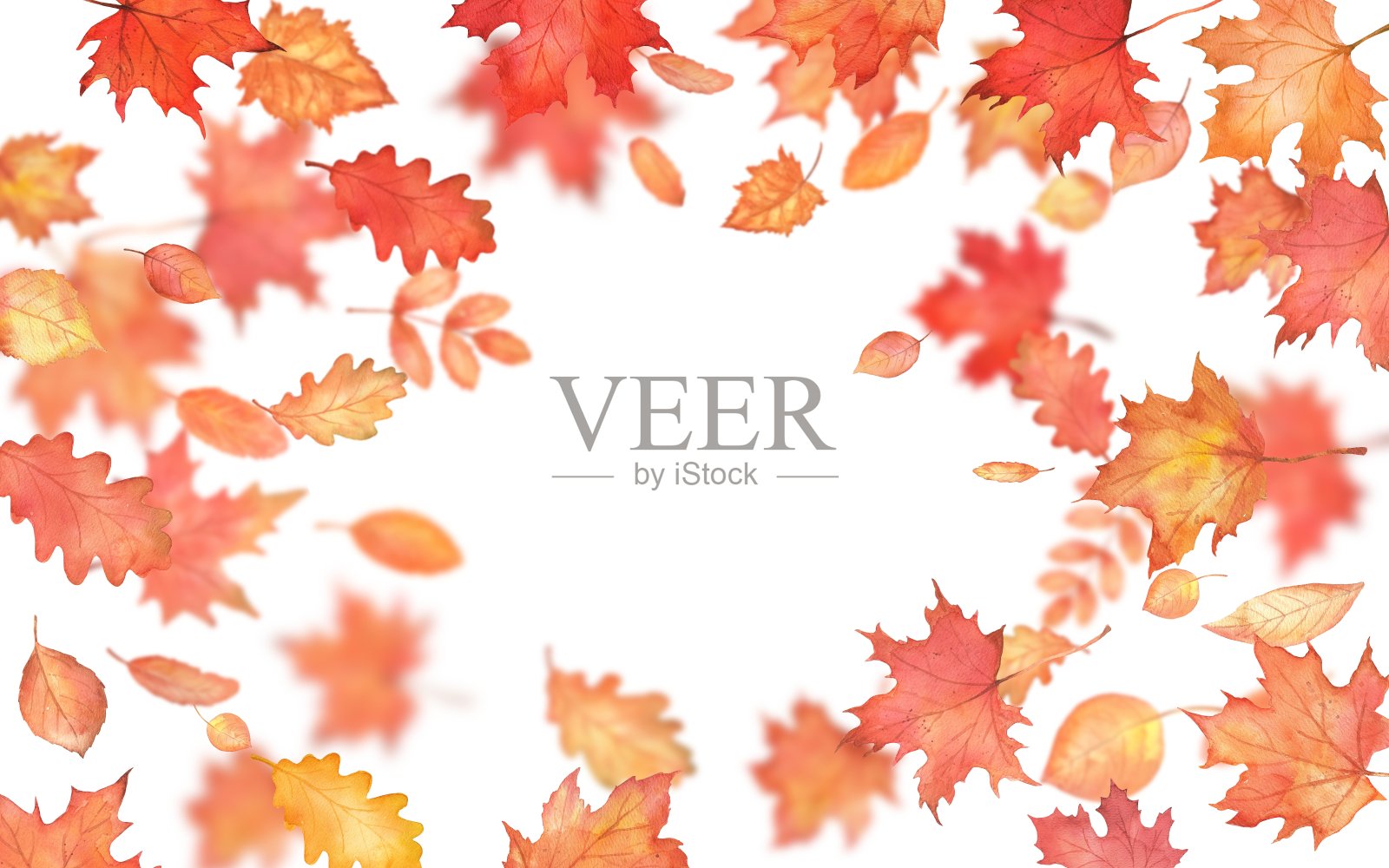 矩形框架与树叶落模糊。秋天飘落的枫叶伴着拷贝的空间。抽象的背景插画图片素材