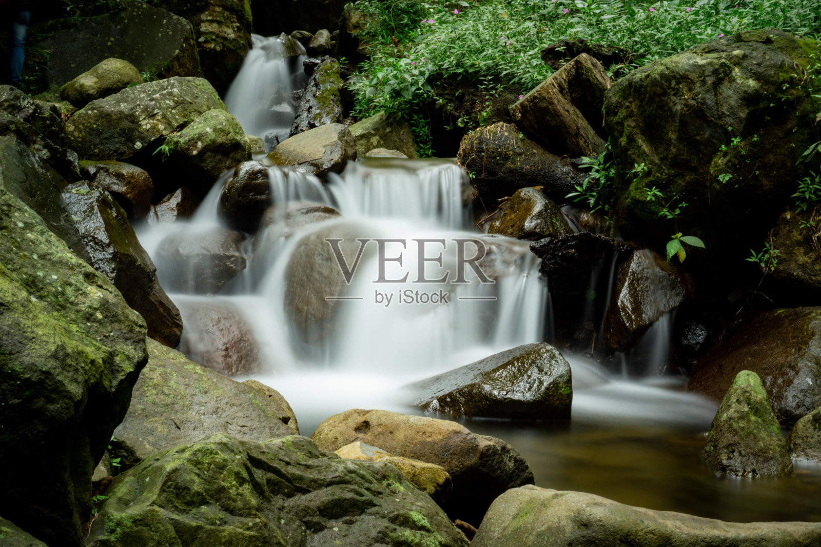 自然照片摄影图片