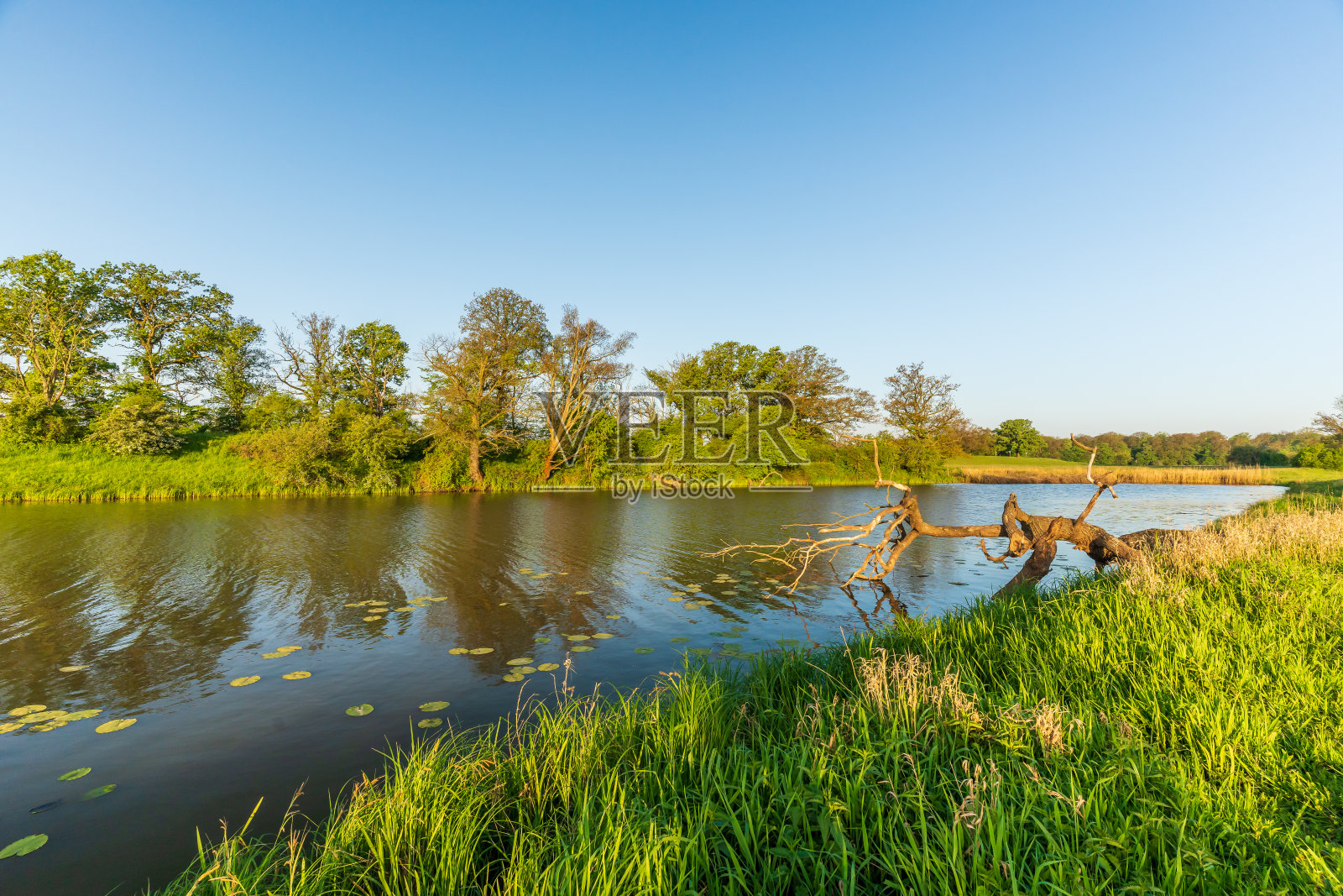 美丽的湖景照片摄影图片