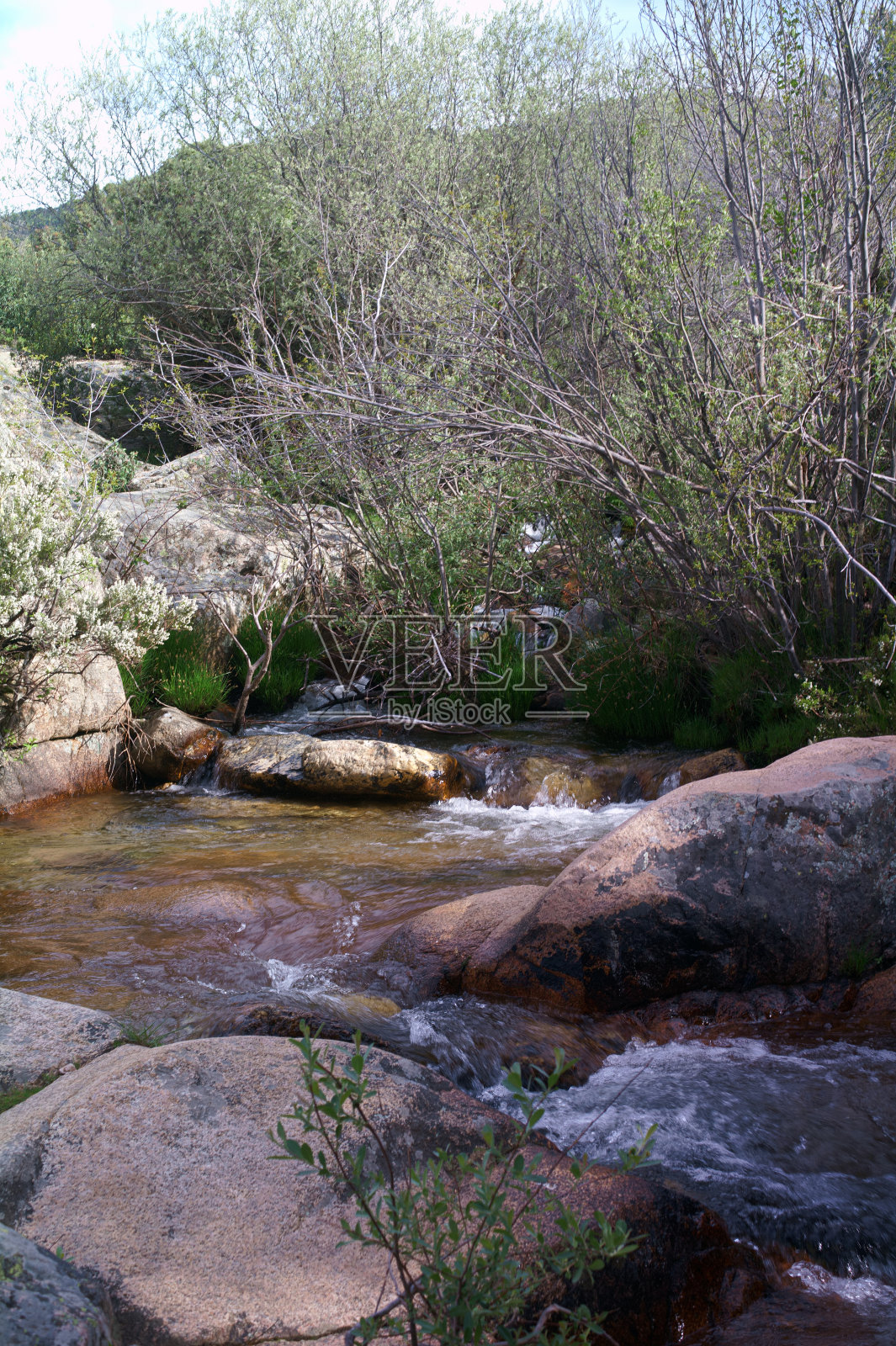 风景,景色,自然,植物,西班牙,山脉,植物,春天,户外,美丽,照片摄影图片
