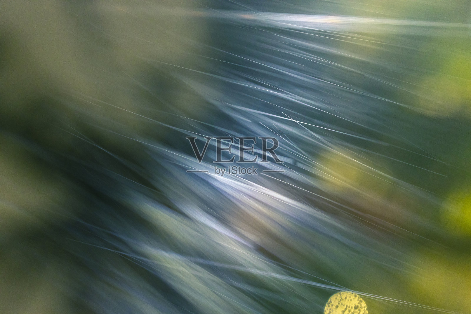 运动中的雨和宏观的雨滴照片摄影图片