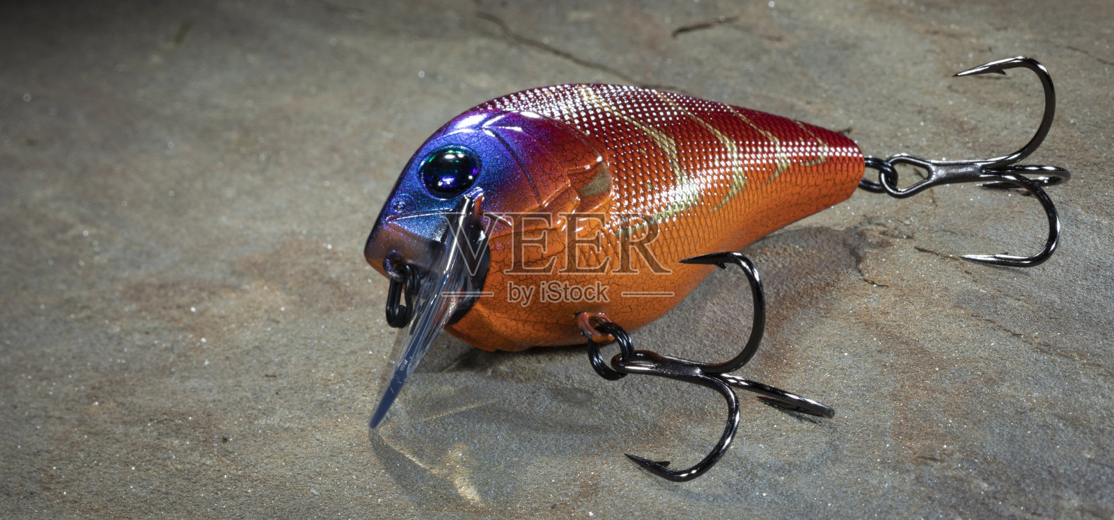 石头上的橙色鱼饵照片摄影图片